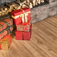 Image of the GRAND SEQUOIA GAVUINA