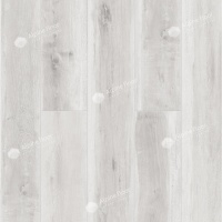 Image of the POLAR OAK