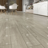 Image of the Maestro