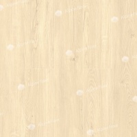 Image of Sequoia California