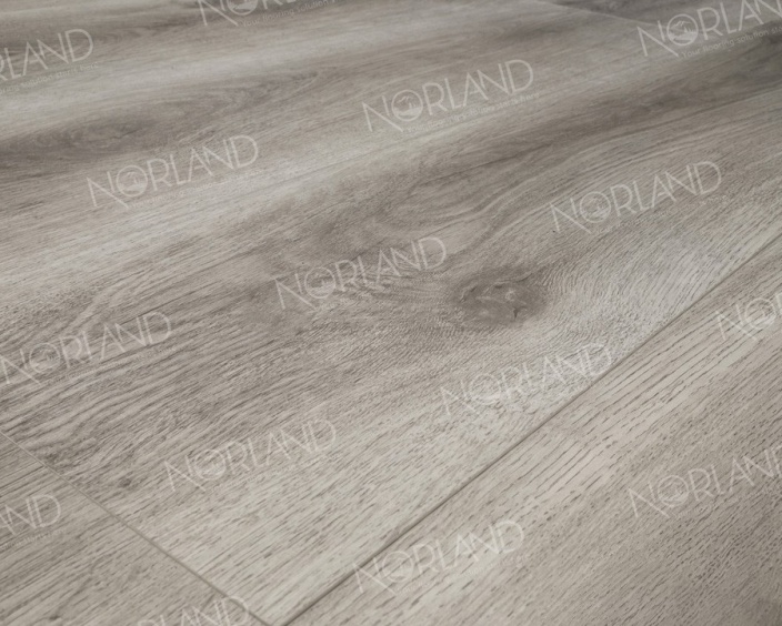 Renaelva Renaelva Image