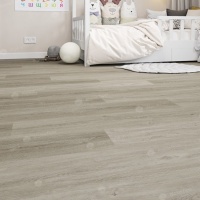 Image of the Maestro