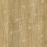 The image of the Tiss