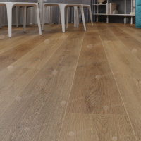 Image of the GRAND SEQUOIA PINEY