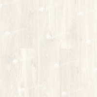 Image of the GRAND SEQUOIA EUCALYPTUS