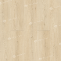 Image of the GRAND SEQUOIA GIGANTUM