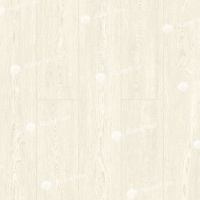 Image of the Blue Forest