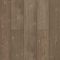 Image of the Terra Oak