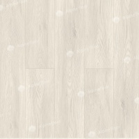 Image of the GRAND SEQUOIA ATLANTA