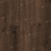 Image of the Mocha Oak