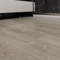 Image of the GRAND SEQUOIA META