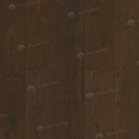 Image of the Marsala Oak