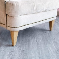 Image of Sequoia Titan