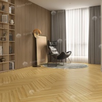 Image of the Pollux Oak