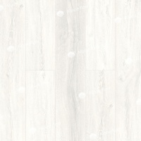 Image of the White Forest