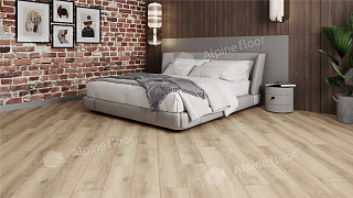 laminate Oak Florence floor 33 class