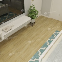 The image of the Tiss