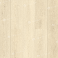 Image of the GRAND SEQUOIA NEEDLES