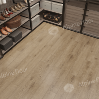 Image of the Oak of Parma