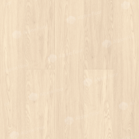 Image of Macau Ash Tree