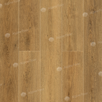 Image of the GRAND SEQUOIA TAXODIUM