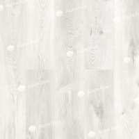 Image of the White Night Oak ABA