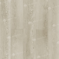 Image of the GRAND SEQUOIA COUND