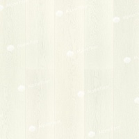 Image of the GRAND SEQUOIA INIO