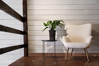 floor skirting board Rico Concept 80 Almond oak height 80 mm depth mm